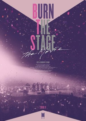 Burn The Stage: The Movie (2018) poster