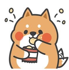 kimchibunni