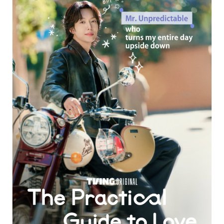 The Practical Guide to Love (2026)