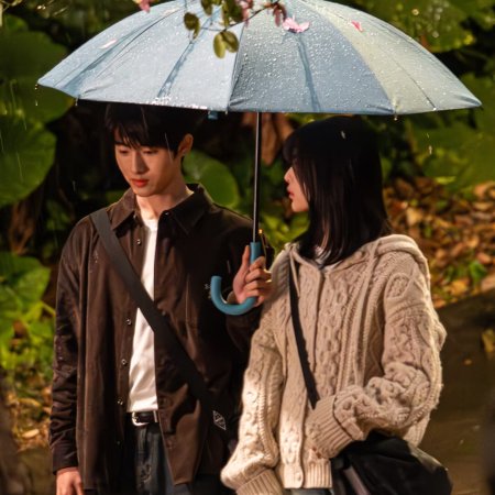 Sunshine through the Rain ()