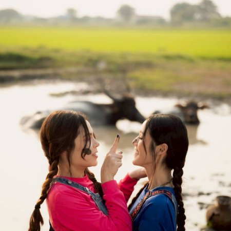 Hometown Romance (2026)