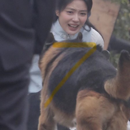 The Lament of Autumn ()