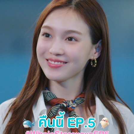 Whale Store xoxo (2025)