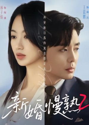 Loving Strangers Season 2 (0000) poster