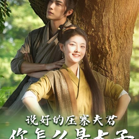 Crush the Village Husband (2024)