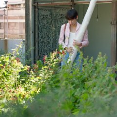 Burnout Syndrome Thai Drama photo