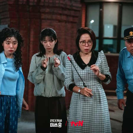 Undercover Miss Hong (2026)