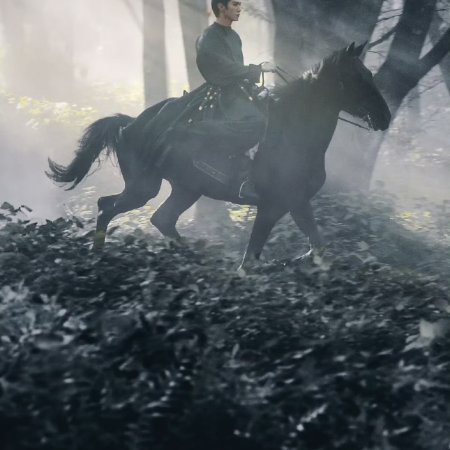 Jiang Shan Wei Pin ()