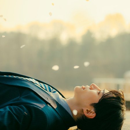 Typhoon Family (2025)