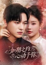 Don't Come Here Chinese Drama(2025) photo