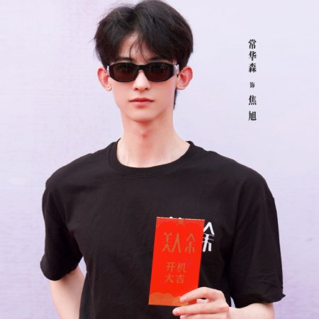 The Vanishing Beauty ()