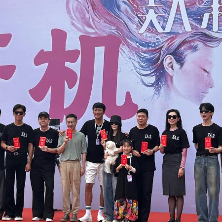 The Vanishing Beauty ()