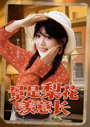 Jing Shi Li Hua Xian Yi Zhang (2025) poster