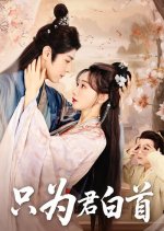 Zhi Wei Jun Bai Shou Chinese Drama(2025) photo