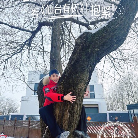 Love of the Divine Tree (2025)