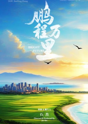 Bright Future () poster