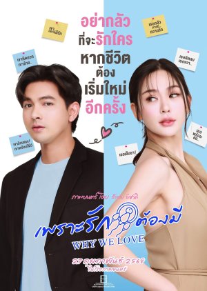 Why We Love poster