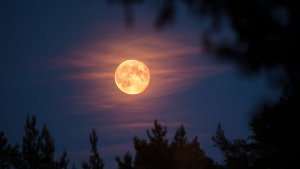 mooniscold_suniswarm