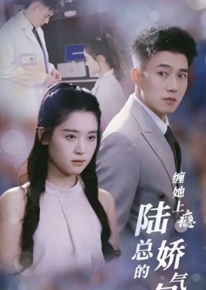 Chan Ta Shang Yin Lu Zong De Jiao Qi Bao poster