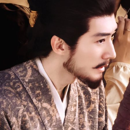 Northern Wei Dynasty ()