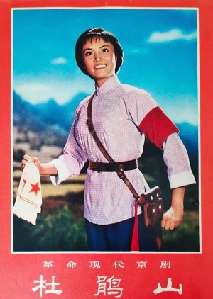 The Azalea Mountain (1974) poster