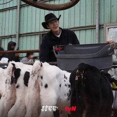 GBRB: Farm Operation - Go Go Farm Korean TV Program(2026) photo