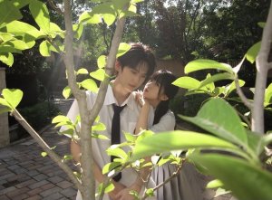cdramaholic