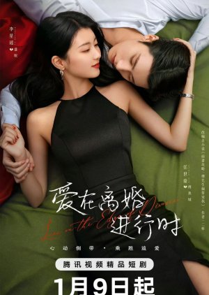 Love on the Edge of Divorce () poster