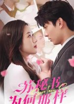 Secretary Su Chinese Drama photo