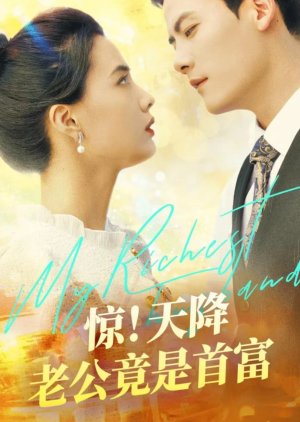 My Richest Husband (2024) poster