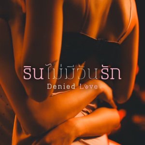Denied Love (2025)