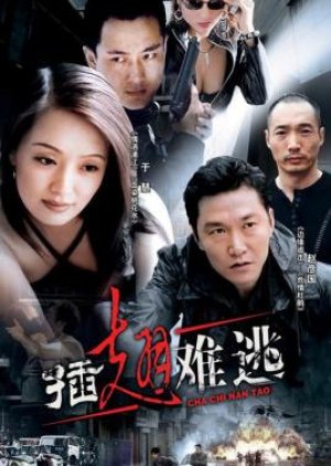 Cha Chi Nan Tao (2002) poster
