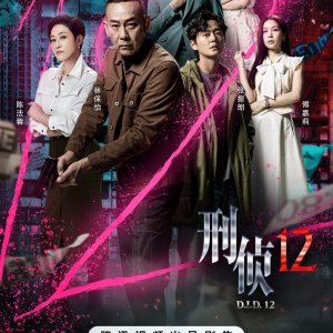 D.I.D. 12 (2025)