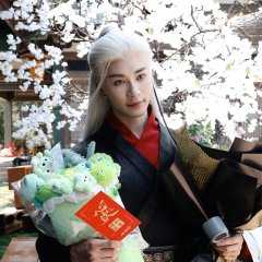 Soft Hearted Chinese Drama photo