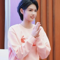 Break Through Chinese Movie(2024) photo