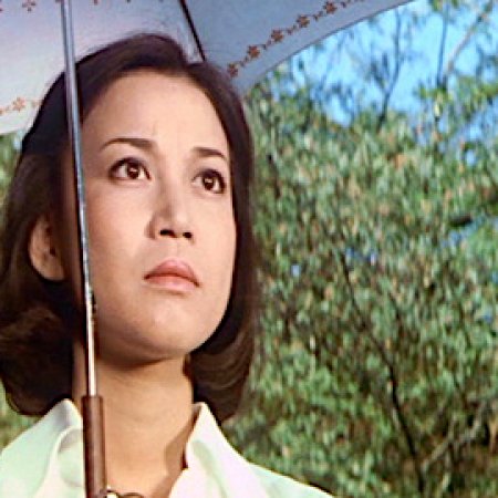 Discontinuous Murder (1977)