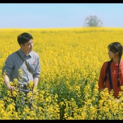 Love Story in the 1970s Chinese Drama photo