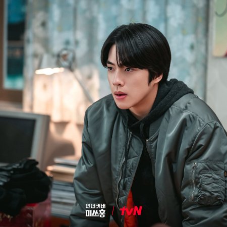 Undercover Miss Hong (2026)