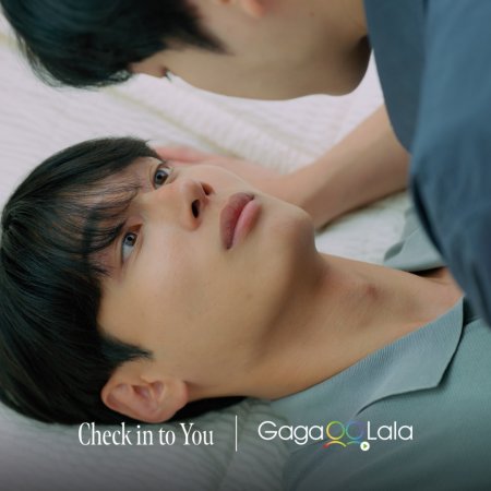 Check in to You (2026)