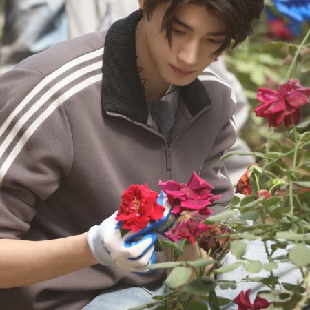 Become a Farmer Season 4 (2026)