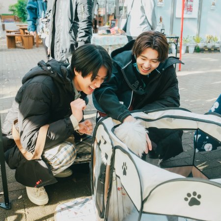 Akune Haruse