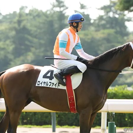 Passing the Reins (2025)