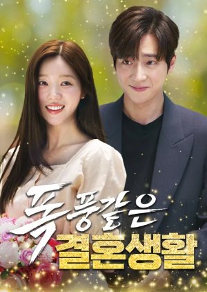 A Stormy Marriage (2025) poster