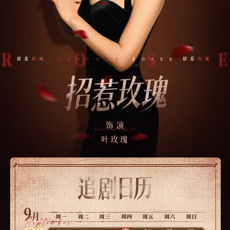 Provoke Roses (2025)