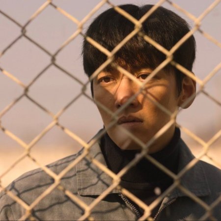 The Manipulated (2025)