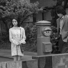 Hoshi to Tsuki wa Ten no Ana Japanese Movie(2025) photo