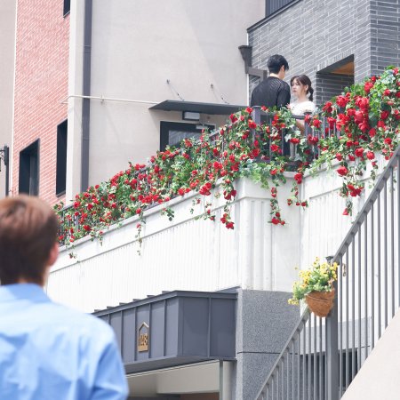 Would You Marry Me? (2025)