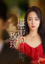 Attack on Rose Chinese Drama(2024) photo