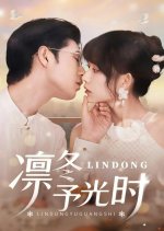 Lin Dong Yu Guang Shi Chinese Drama(2025) photo