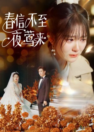 Chun Xin Bu Zhi Ye Ying Lai poster